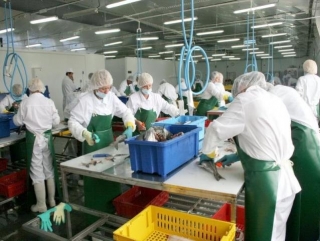 Пищевая и перерабатывающая промышленность Кубани подводит итоги работы в 2013 году