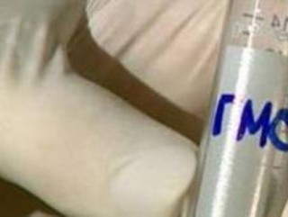 ГМО-продукты в ближайшие годы испытают на россиянах