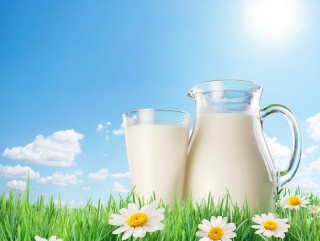 Россельхознадзор проанализирует рост поставок молока из Казахстана