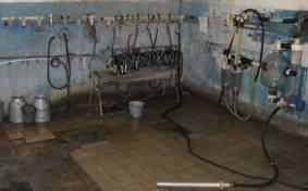 Молочно-товарной ферме СПК «Надежда» напомнили о ветеринарно-санитарных правилах
