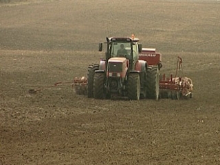 НСА: Субсидии должны быть адекватны потребностям аграриев