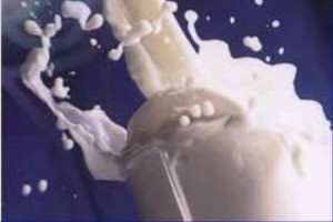Эмбарго не поможет молочной отрасли