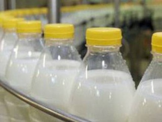 Бразилия начала экспорт молочных продуктов в Россию