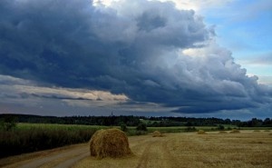 Свердловские аграрии бьют тревогу