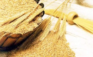 Улучшение погоды в США, России и Украине продолжает давить на цену пшеницы