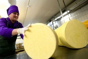 Марковский сырзавод готовят к запуску. В сутки планируется выпускать около 2-х тонн твердого сыра