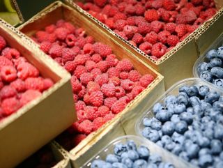 Аналитика: Ягодный бизнес 2020 года: объем переработки увеличится на 18%, дефицит свежих ягод сохранится