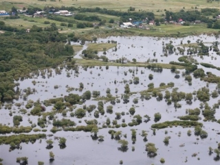 От наводнения убыток сельского хозяйства Дальнего Востока составил около 10 млрд рублей