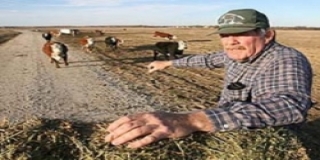 77,4 млн рублей направят на господдержку фермеров в Бурятии