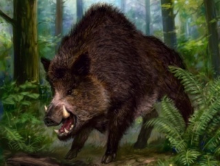 АЧС гуляет по Калужской, Новгородской и Псковской областям России