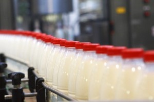 Доля импортного молока на российском рынке стремительно растет