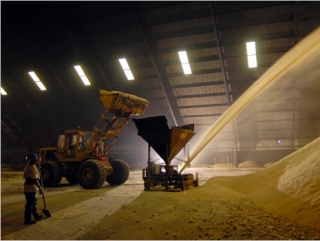 Мировые цены на сахар-сырец снизились до минимума трех лет