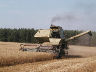 В Госдуме предлагают снизить порог потерь урожая