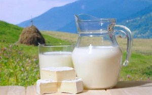 Требования по содержанию белка в молоке будут пересмотрены
