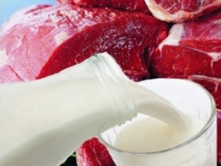 В Самарской области нарастили производство мяса и молока