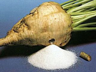 Белгородская область лидирует по урожайности сахарной свеклы