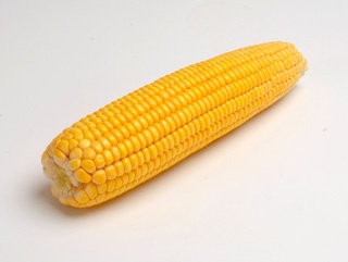 Доля переработки кукурузы выросла