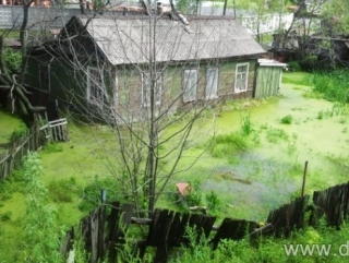 Более 35 млн рублей направлено жителям Приморья, потерявшим урожай из-за паводка