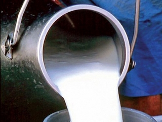 Калмыцкая стройкомпания «Бетонинвест» весной планирует ввести в строй молокозавод