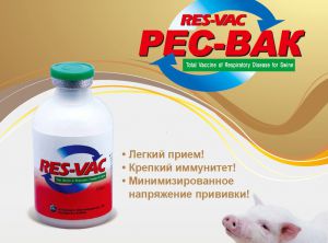 Вакцина РЕС-ВАК против респираторных болезней свиней поливалентная инактивированная