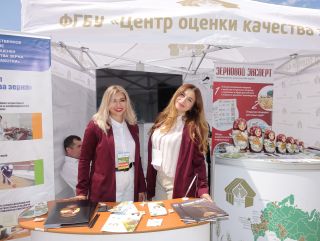 «День донского поля-2020»: три дня в эпицентре аграрной жизни юга России