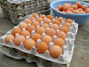 В Самарской области куриные яйца подорожали на 25%