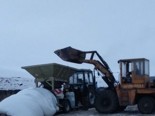 Плющение влажной кукурузы – повышение рентабельности производства