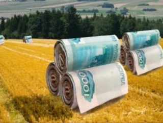 Минсельхоз РФ призывает органы власти Вологодской области активнее помогать аграриям
