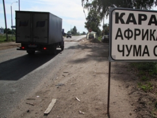 В Московской области зарегистрирована новая вспышка АЧС