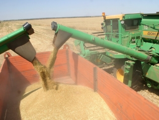 Российский зерновой союз понизил прогноз сбора зерна в РФ до 91 миллиона тонн