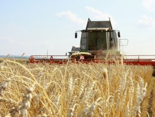 Каков будет урожай в России в этом году, пока до конца не ясно