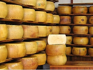 В Адыгее планируется увеличение производства сыра