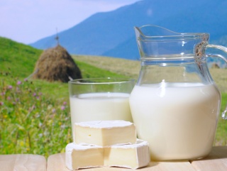 Ирландские переработчики платят самую низкую в Европе цену за молоко