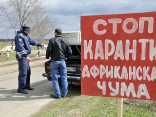 В Тульской области все очаги АЧС полностью ликвидированы