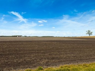 В Свердловской области обновился реестр участков сельхозназначения
