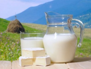 Зауральским производителям молока изменят порядок предоставления субсидий
