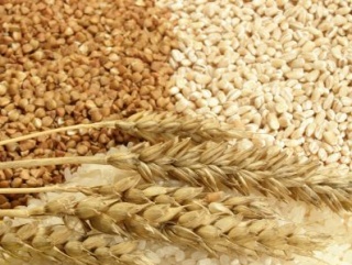 В России намолочено 77,5 млн тонн зерна