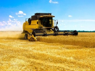 В Красноярском крае собран первый миллион тонн зерна