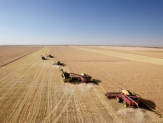 В Татарстане завершилась уборка зерновых и зернобобовых культур