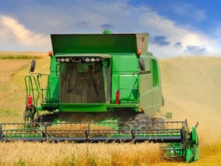 В Омской области намолотили 2 миллиона тонн зерна
