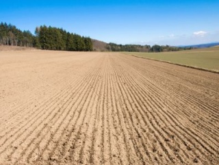 В Казахстане ужесточат требования к землепользователям