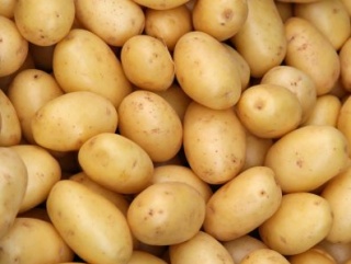 В Самарской области убрали весь картофель