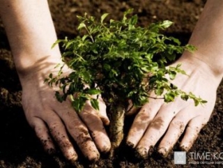 Малый агробизнес в России производит экологически чистую продукцию