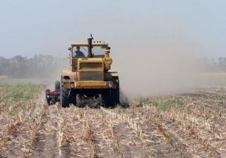 В Прикамье в оборот введено около 800 га заброшенных земель