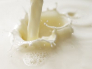 Молочная отрасль в Тюмени продолжает развиваться