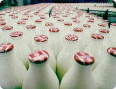 За свое зерно Россия получит из Турции молоко