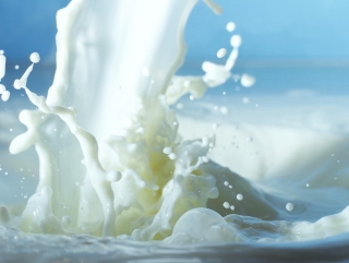 Хабаровские власти просят упростить процедуру выплат фермерам