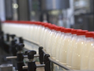 Молочная отрасль Украины нуждается в значительных инвестициях