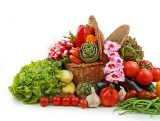 В Свердловской области создадут все необходимые условия для хранения овощей 