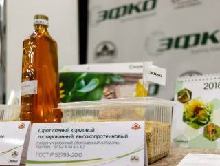 ГК «ЭФКО»: ЦФО имеет значительный потенциал для выращивания и переработки качественной сои